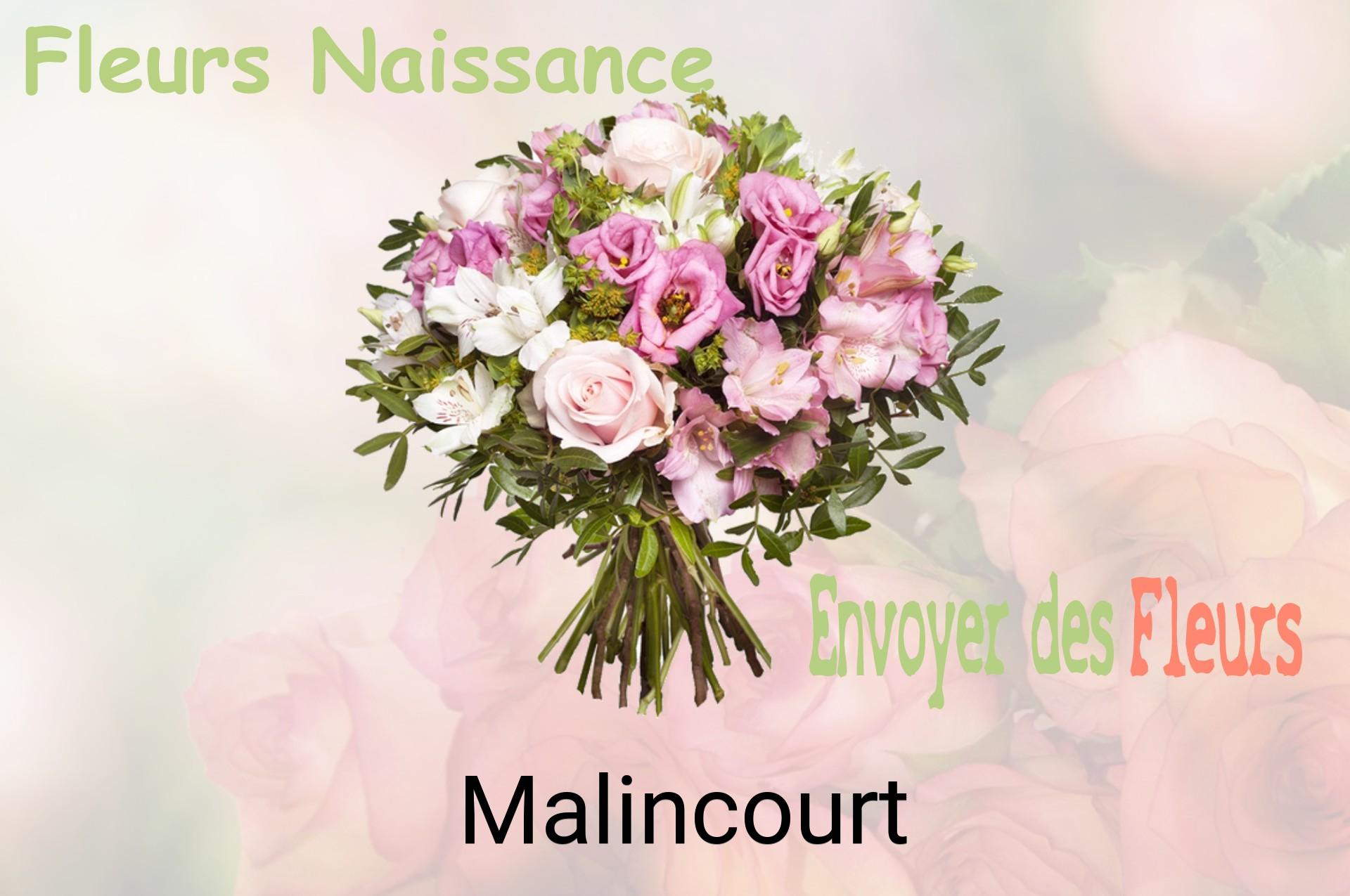 Bouquet de fleurs de naissance livré à Malincourt